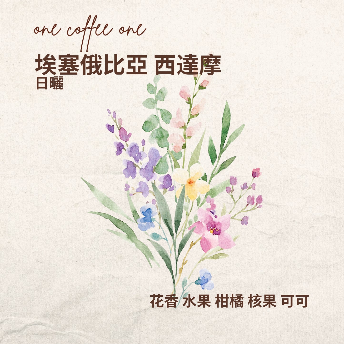 埃塞俄比亞 西達摩