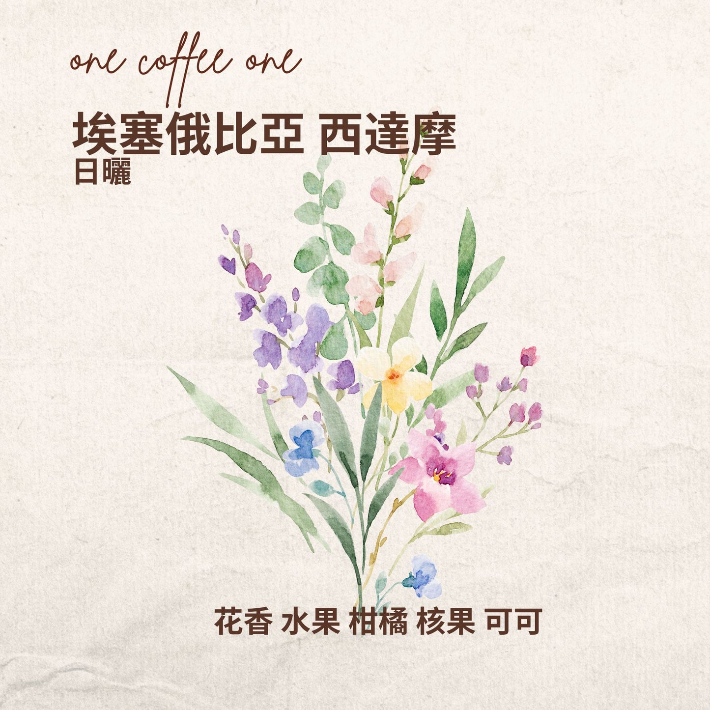 埃塞俄比亞 西達摩