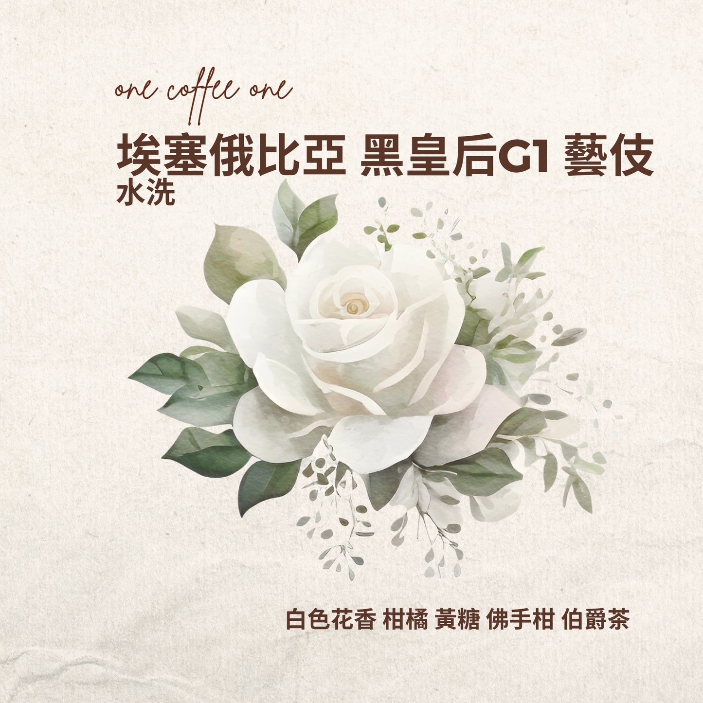 埃塞俄比亞 黑皇后 藝伎