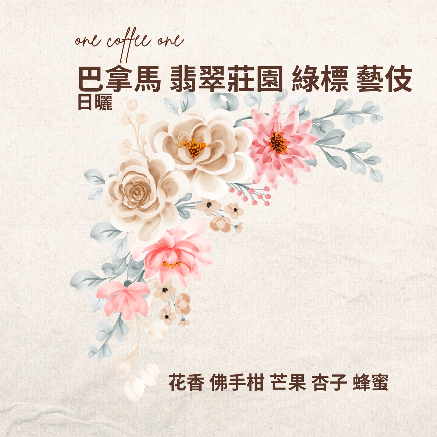 巴拿馬 翡翠莊園 綠標 藝伎