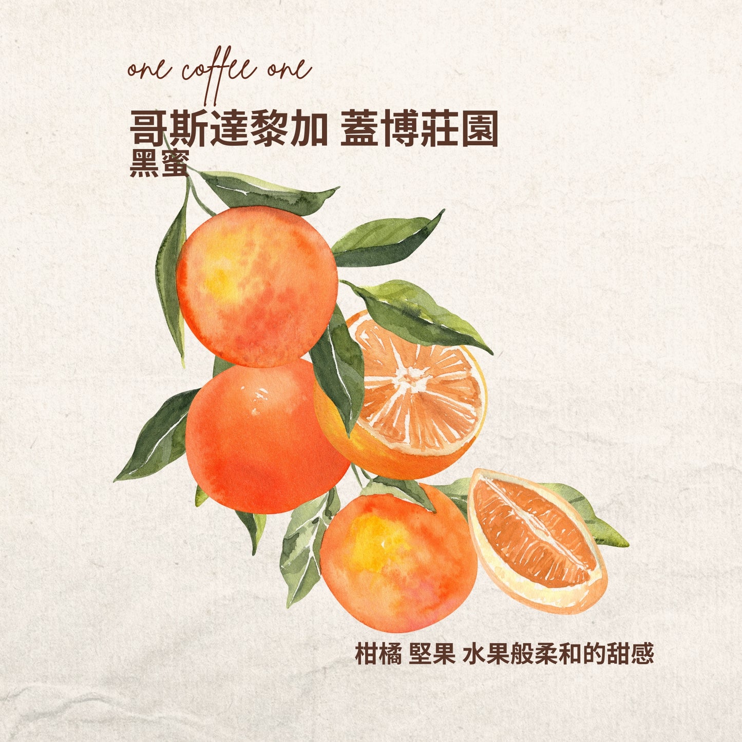 哥斯達黎加 蓋博莊園 黑蜜