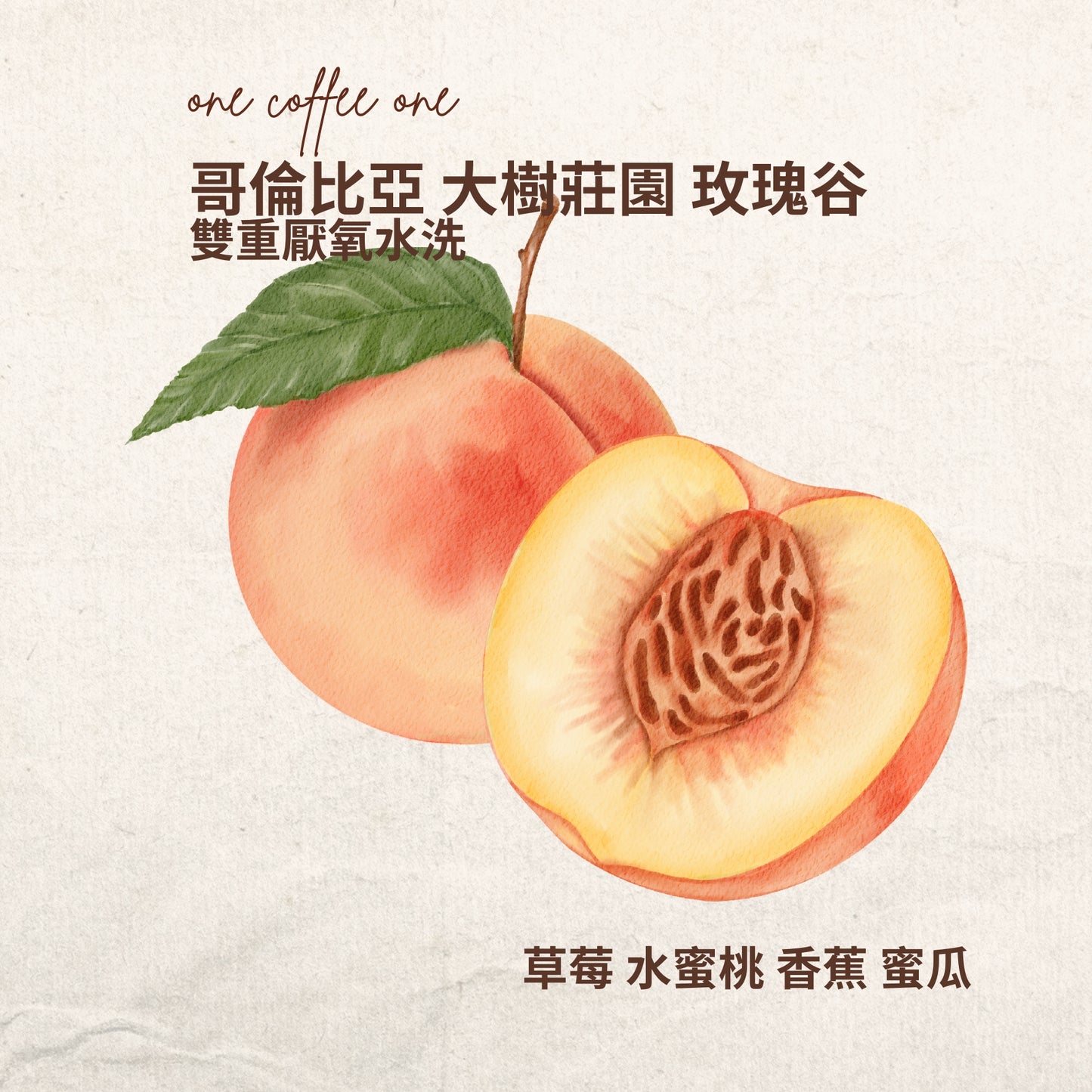 哥倫比亞 哥倫比亞 大樹莊園 玫瑰谷