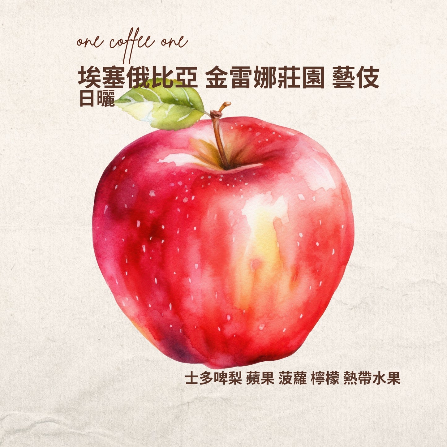 埃塞俄比亞 金雷娜莊園 藝伎