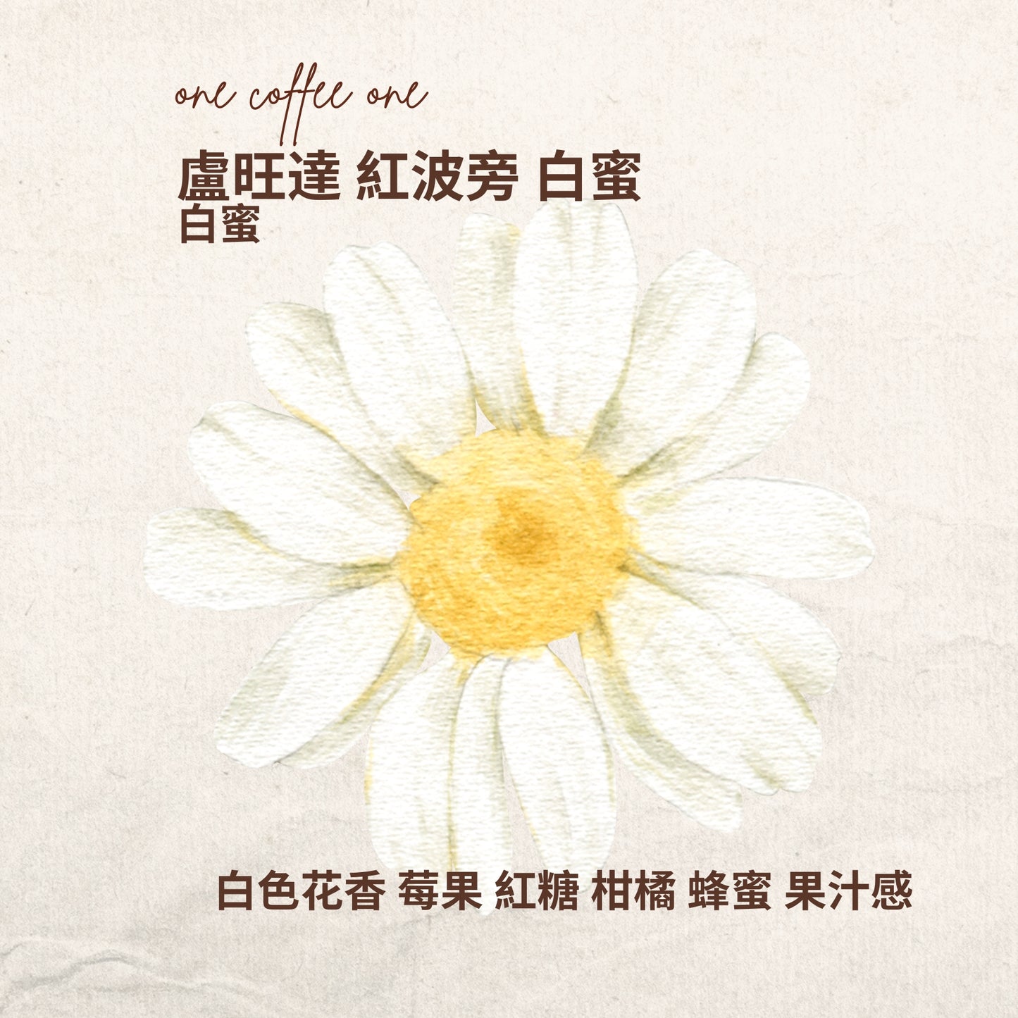 盧旺達 紅波旁 白蜜