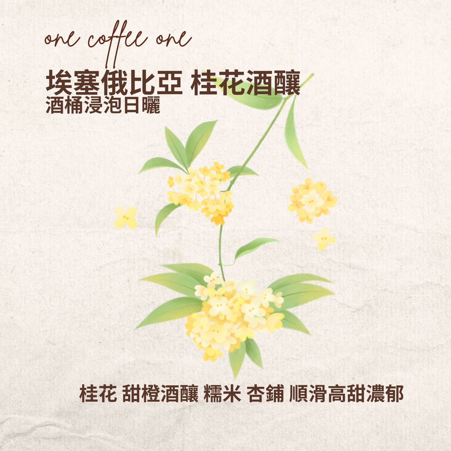 埃塞俄比亞 桂花酒釀