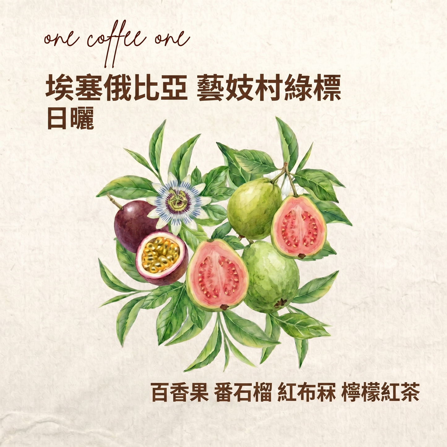 埃塞俄比亞 藝妓村 Shewa-Jibabu地塊 綠標