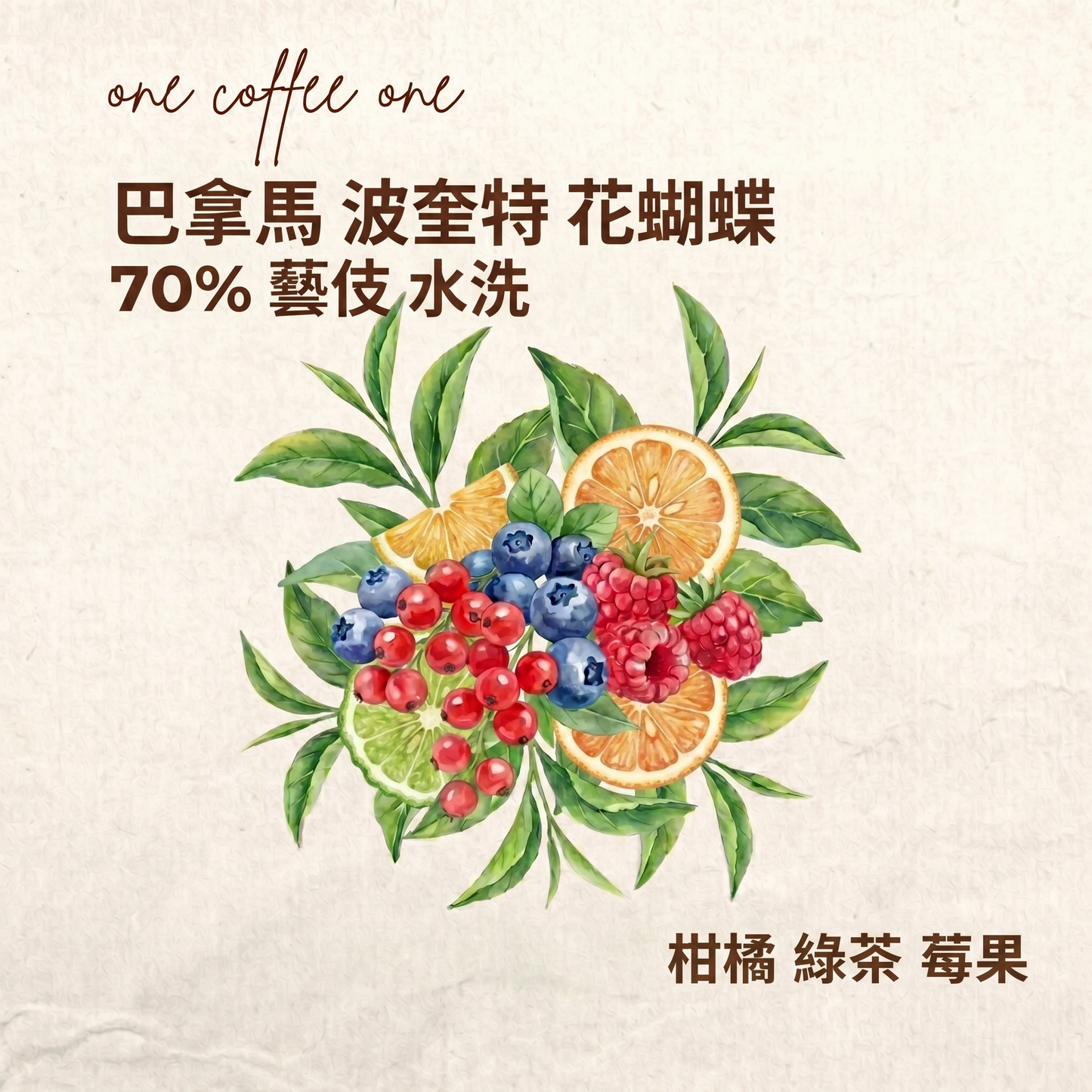巴拿馬 波奎特 花蝴蝶 70% 藝伎 水洗 (翡翠莊園的平替/高性價比之選 )