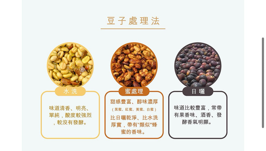咖啡處理法