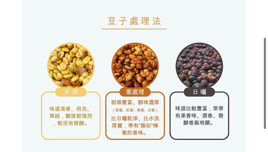 咖啡處理法