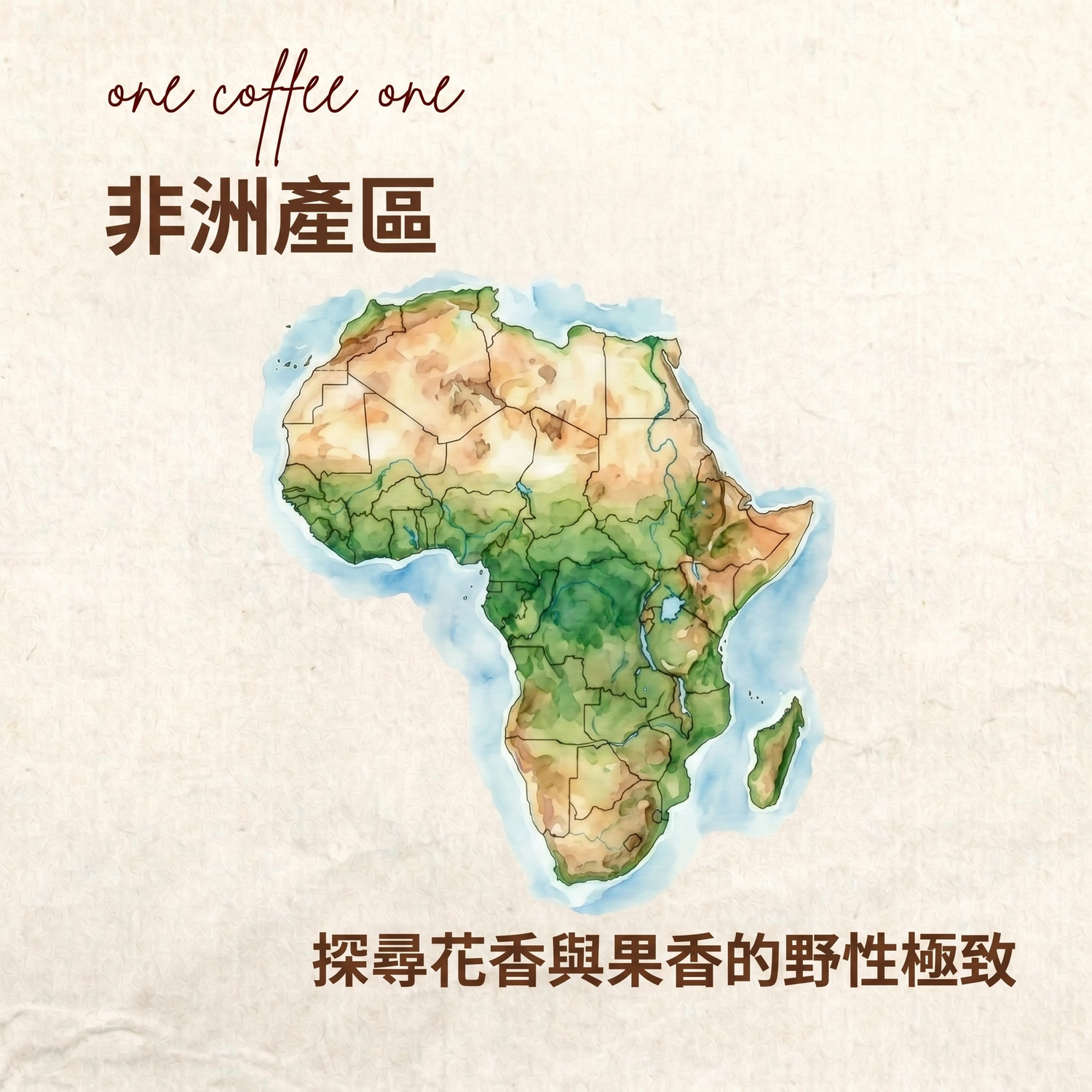 精品咖啡豆 非洲產區  花香與果香的野性極致