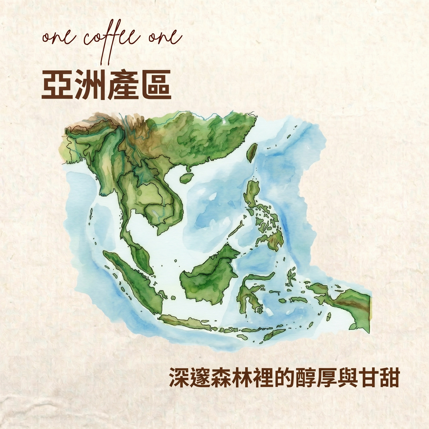 精品咖啡 亞洲產區 醇厚木系風味