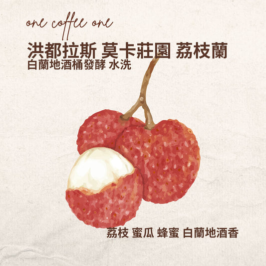洪都拉斯 莫卡莊園 荔枝蘭