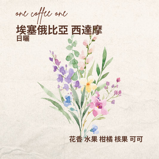 埃塞俄比亞 西達摩