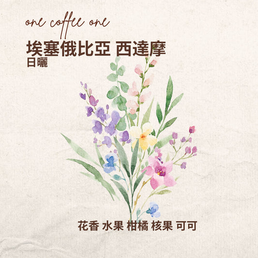埃塞俄比亞 西達摩