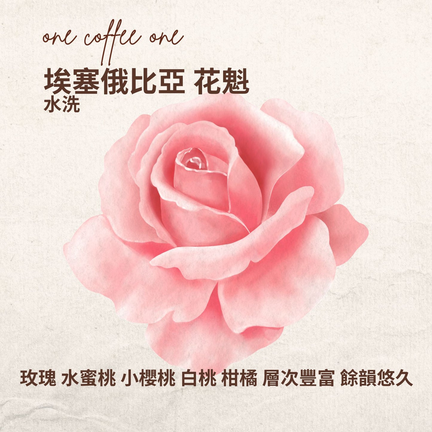 埃塞俄比亞 花魁