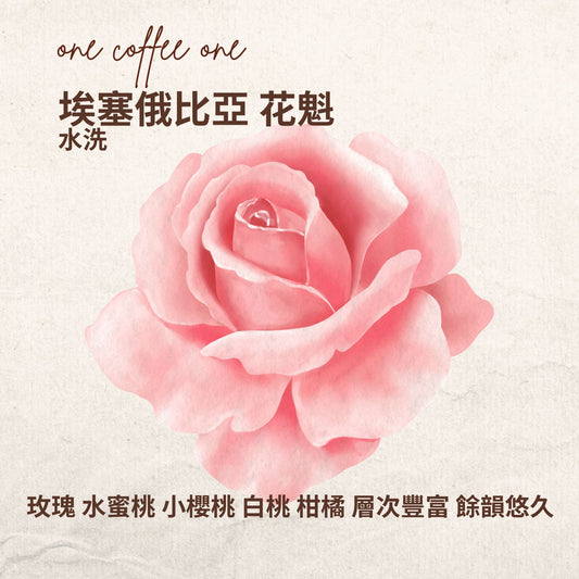 埃塞俄比亞 花魁