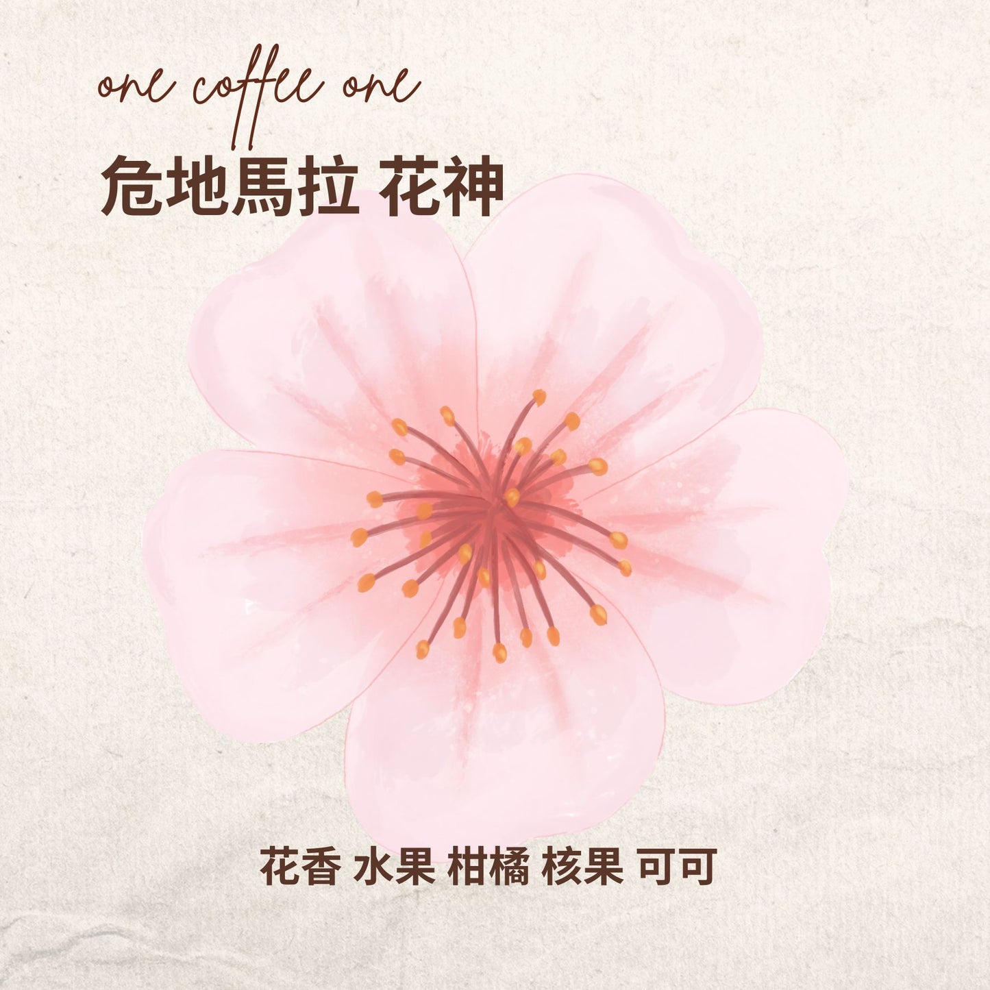危地馬拉 花神