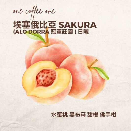 埃塞俄比亞 ALO Dorra 冠軍莊園-SAKURA