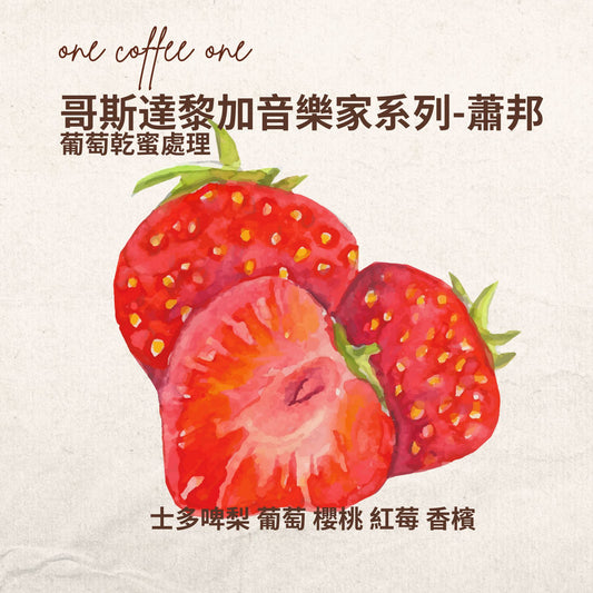 哥斯達黎加音樂家系列-蕭邦