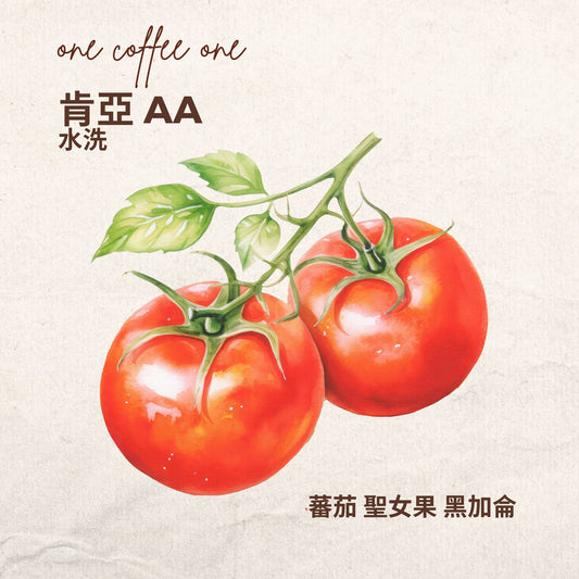 肯亞 AA