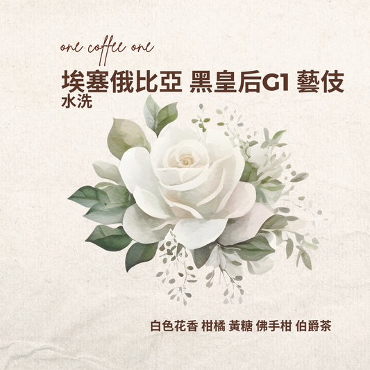 埃塞俄比亞 黑皇后 藝伎