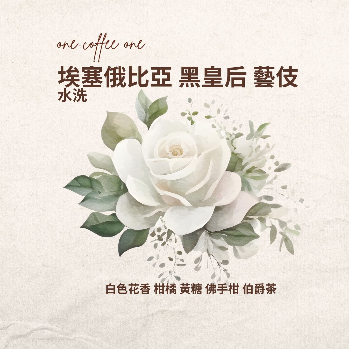 埃塞俄比亞 黑皇后 藝伎