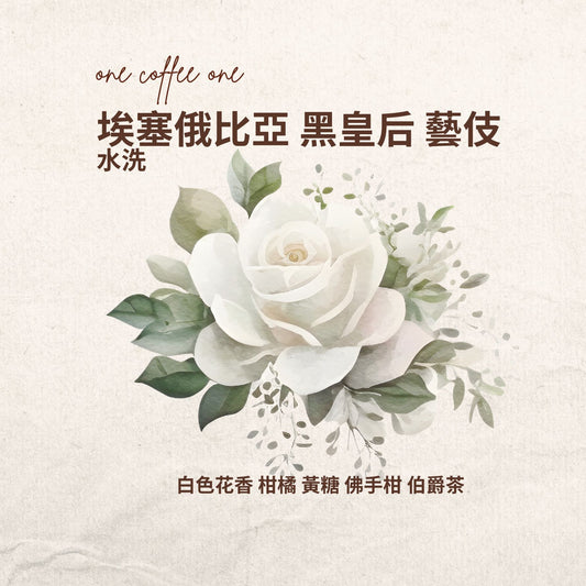 埃塞俄比亞 黑皇后 藝伎