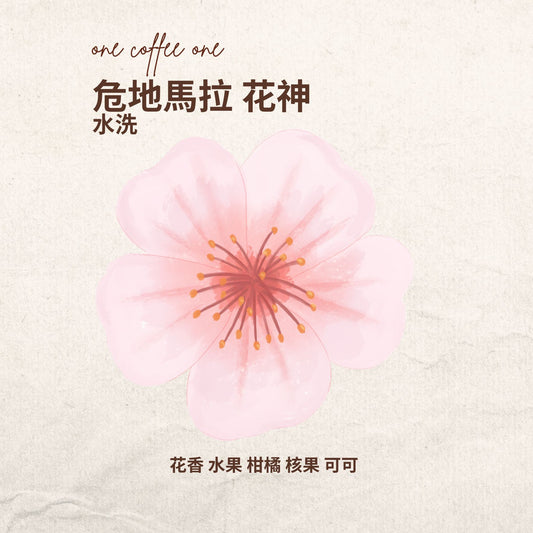 危地馬拉 花神