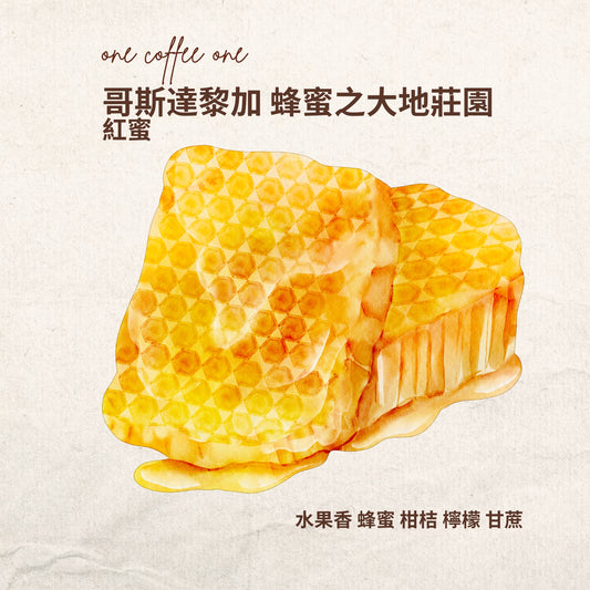 哥斯達黎加 蜂蜜之大地莊園 紅蜜