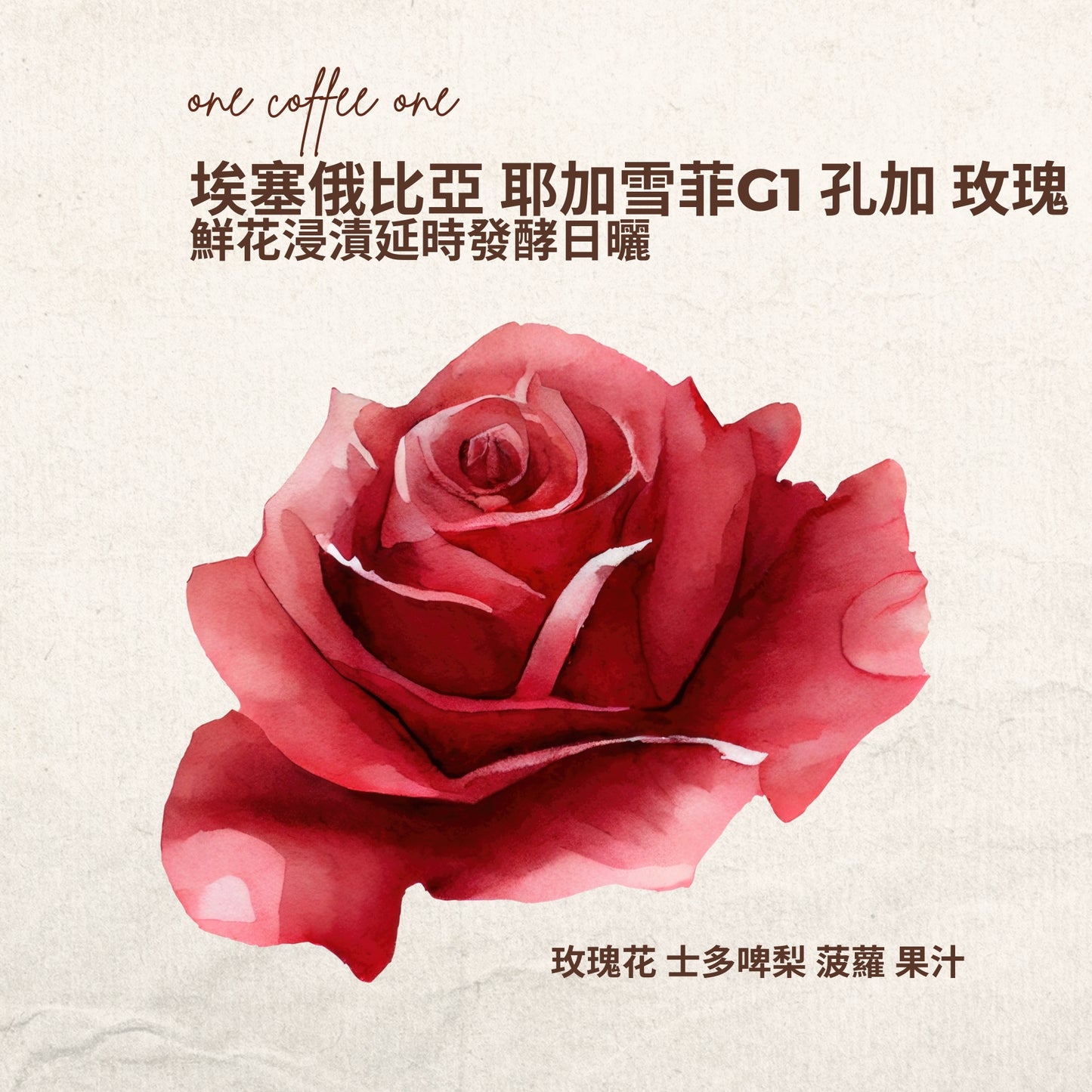 埃塞俄比亞 耶加雪菲G1 孔加 玫瑰