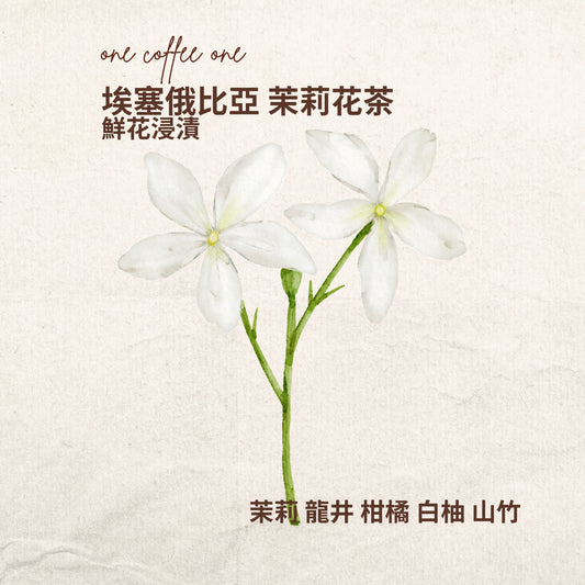 埃塞俄比亞 茉莉花茶