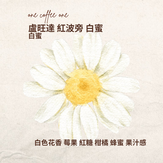 盧旺達 紅波旁 白蜜