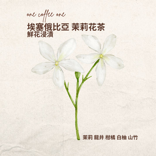 埃塞俄比亞 茉莉花茶 鮮花浸漬