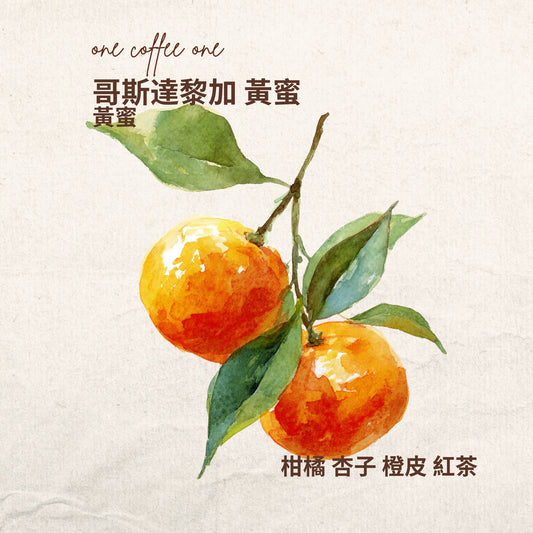 哥斯達黎加 黃蜜