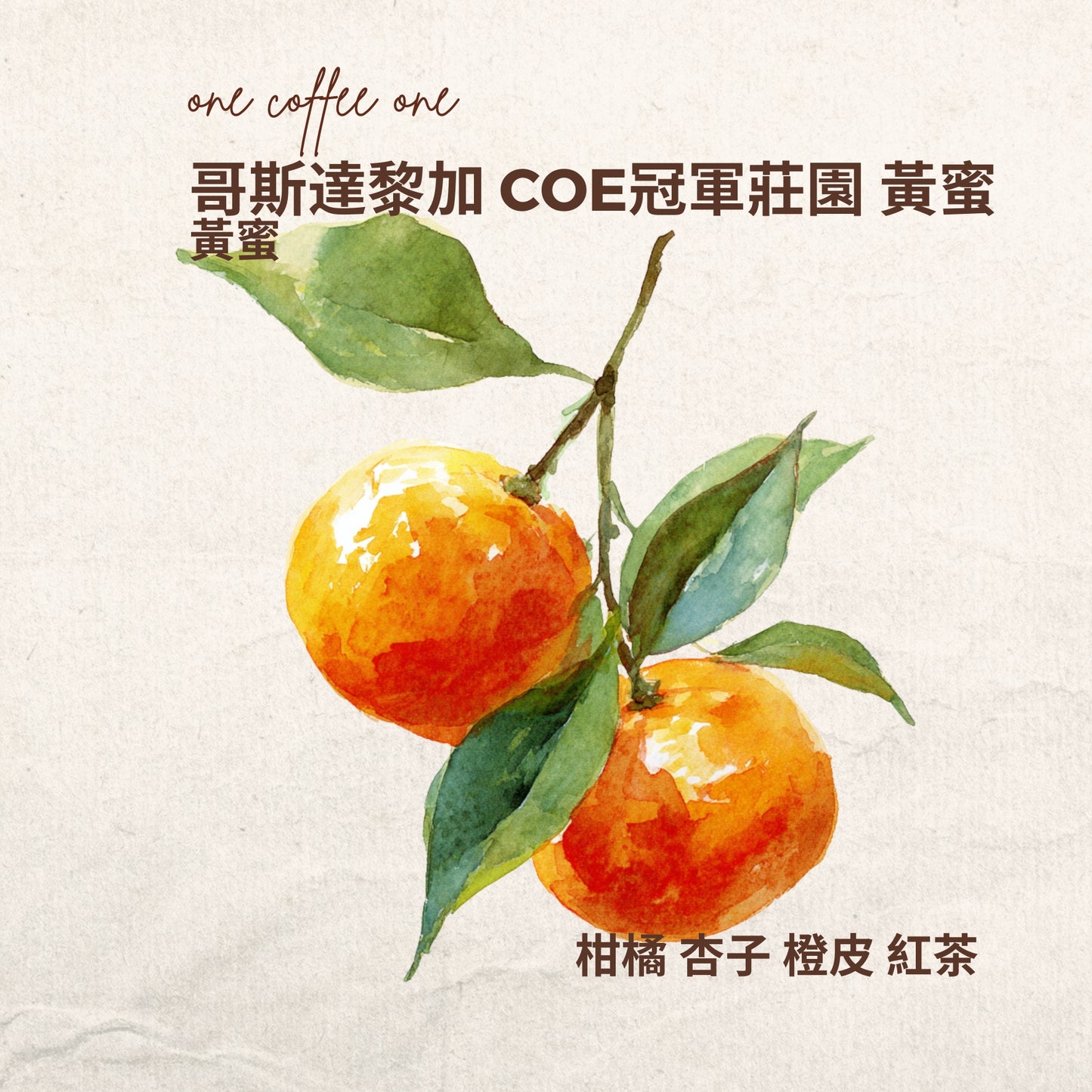 哥斯達黎加 黃蜜