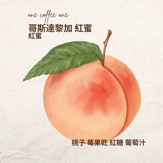 哥斯達黎加 紅蜜