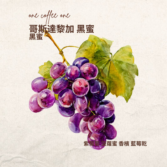 哥斯達黎加 黑蜜 微批次