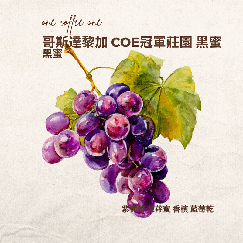 哥斯達黎加 COE冠軍唐梅奧莊園 黑蜜