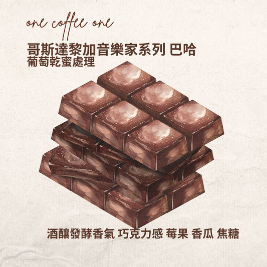 哥斯達黎加音樂家系列-巴哈