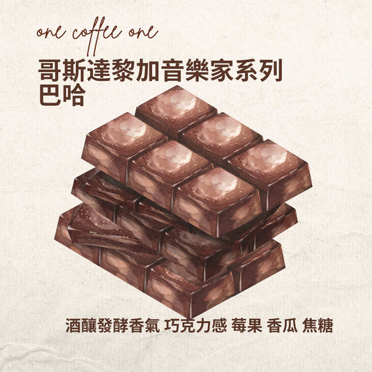 哥斯達黎加音樂家系列-巴哈