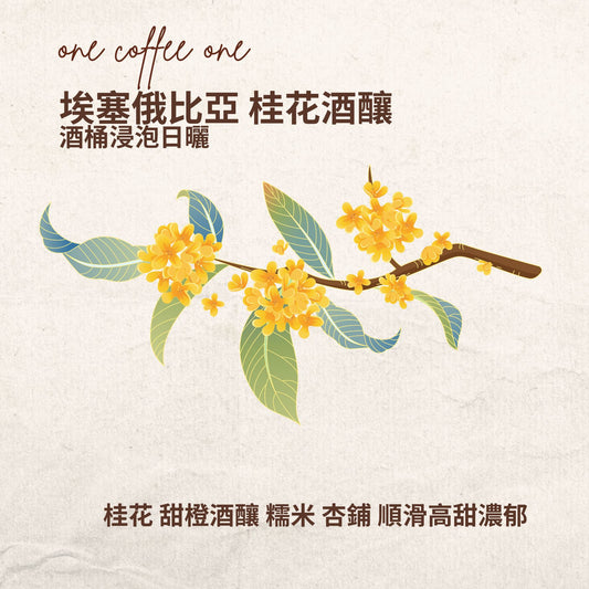 埃塞俄比亞 桂花酒釀