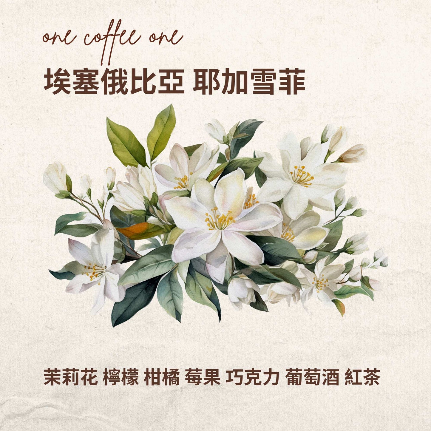 埃塞俄比亞 耶加雪菲