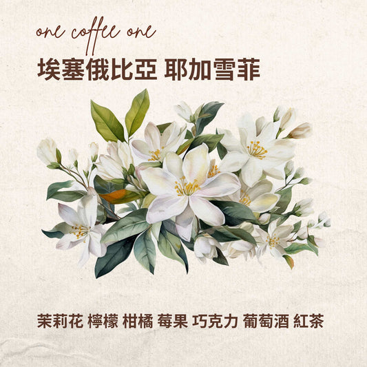 埃塞俄比亞 耶加雪菲