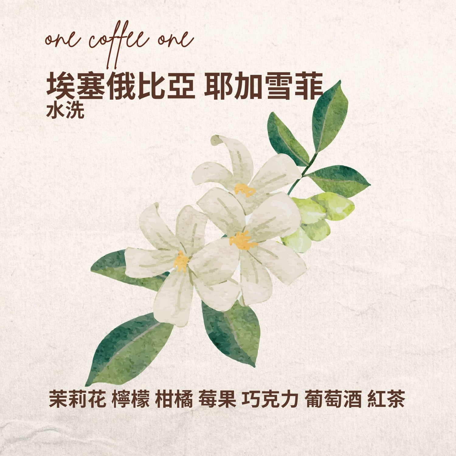 埃塞俄比亞 耶加雪菲