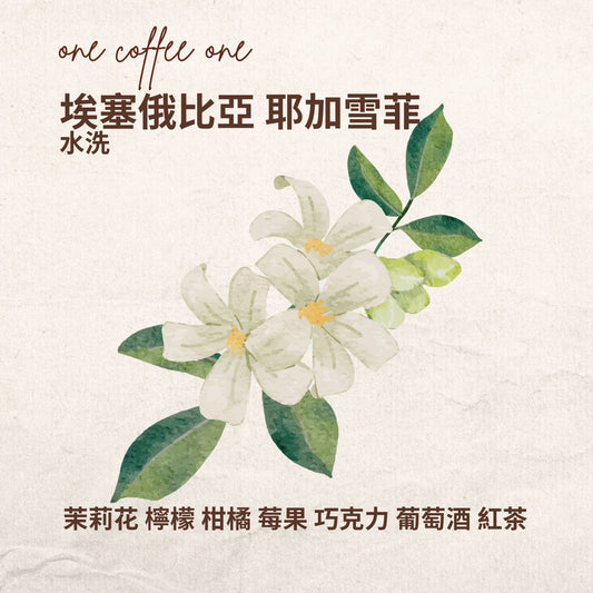 埃塞俄比亞 耶加雪菲