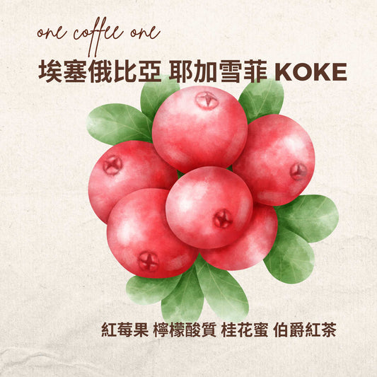 埃塞俄比亞 耶加雪菲 KOKE