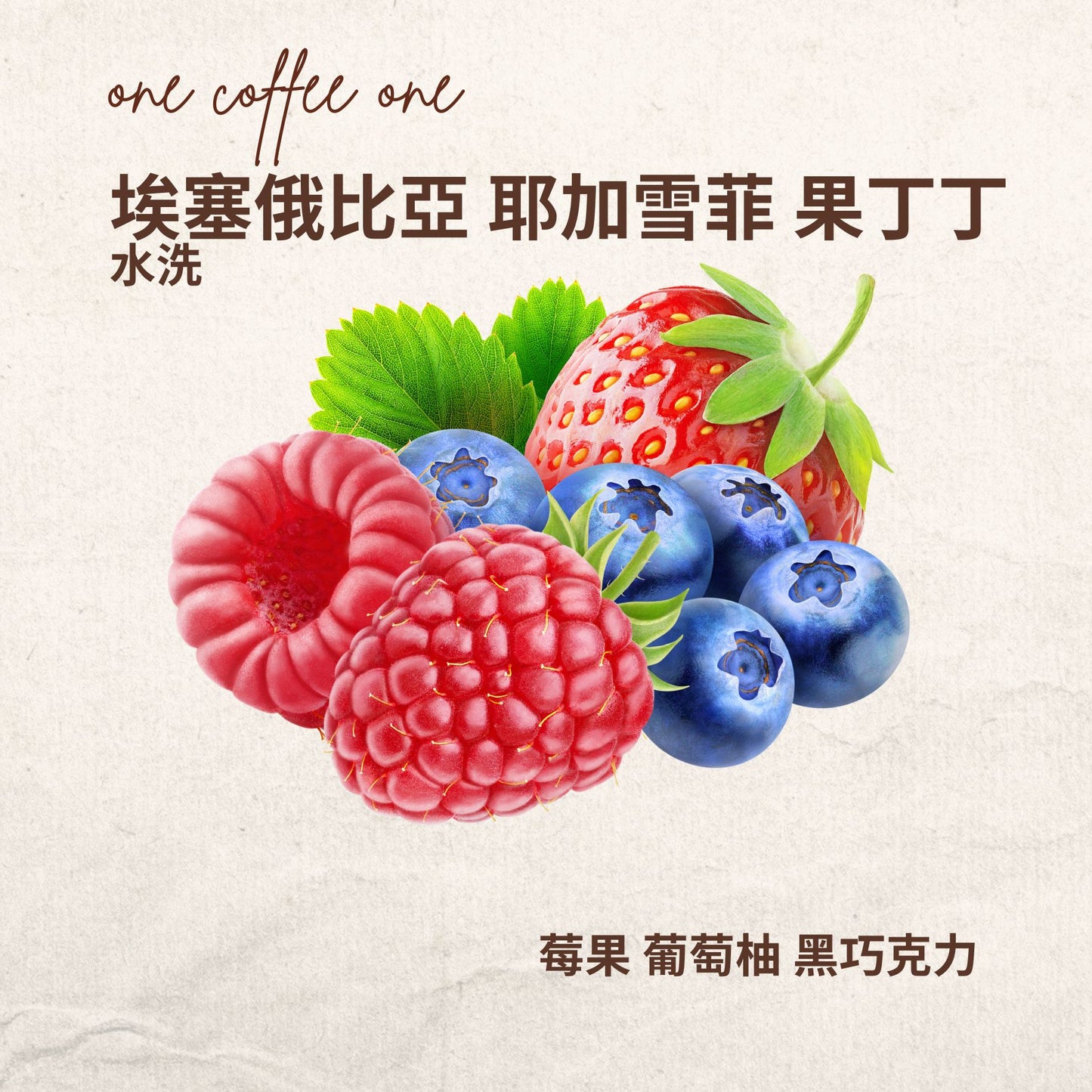 埃塞俄比亞 耶加雪菲 果丁丁