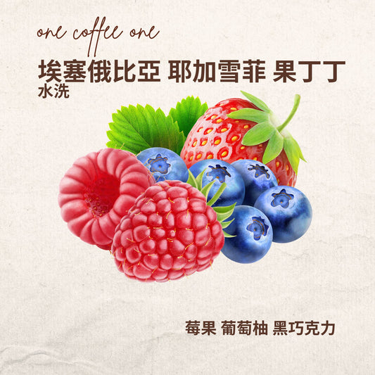 埃塞俄比亞 耶加雪菲 果丁丁