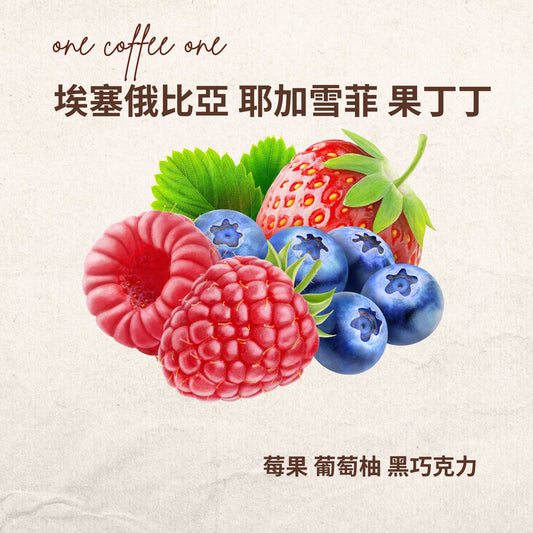 埃塞俄比亞 耶加雪菲 果丁丁
