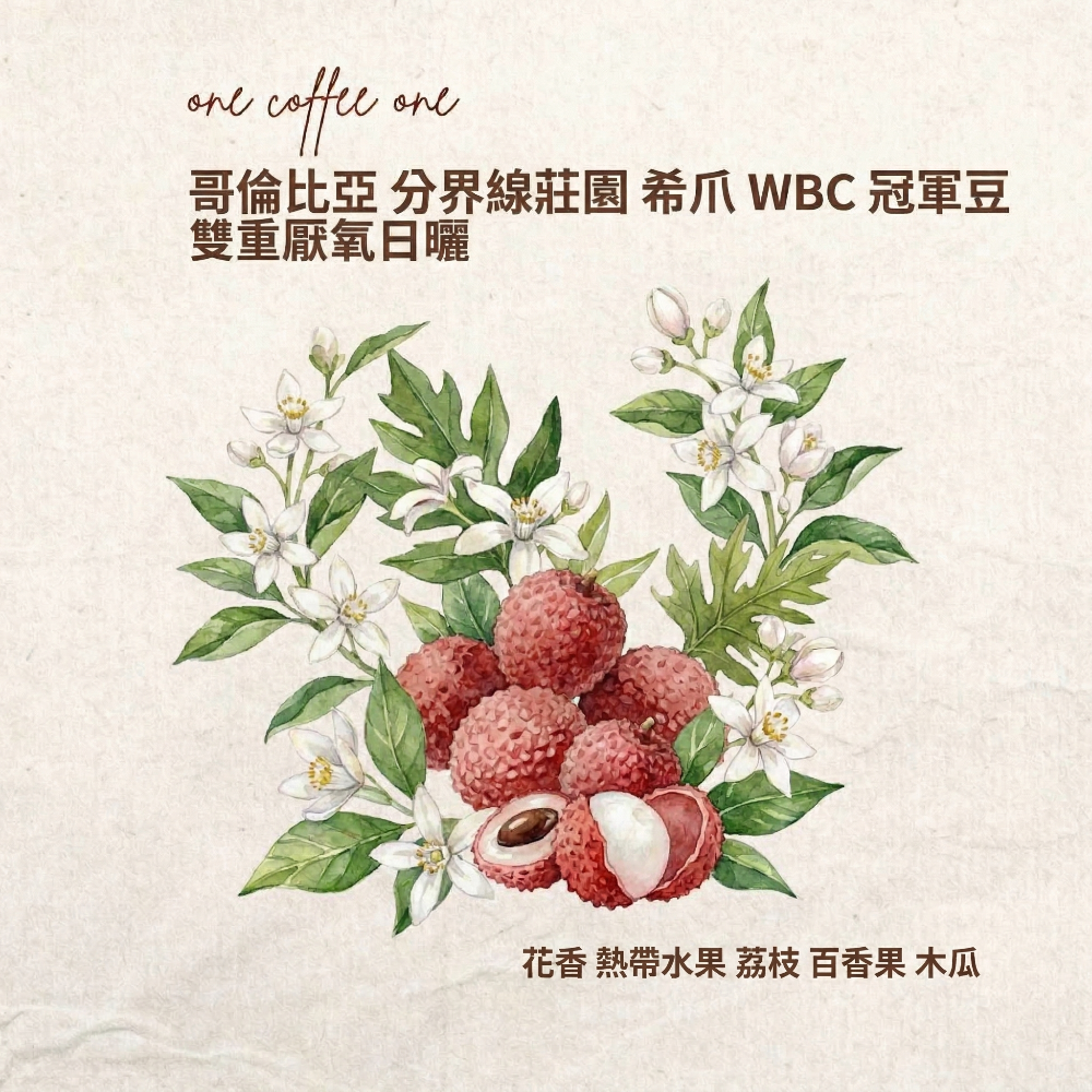 哥倫比亞 分界線莊園 希爪 WBC 冠軍品種
